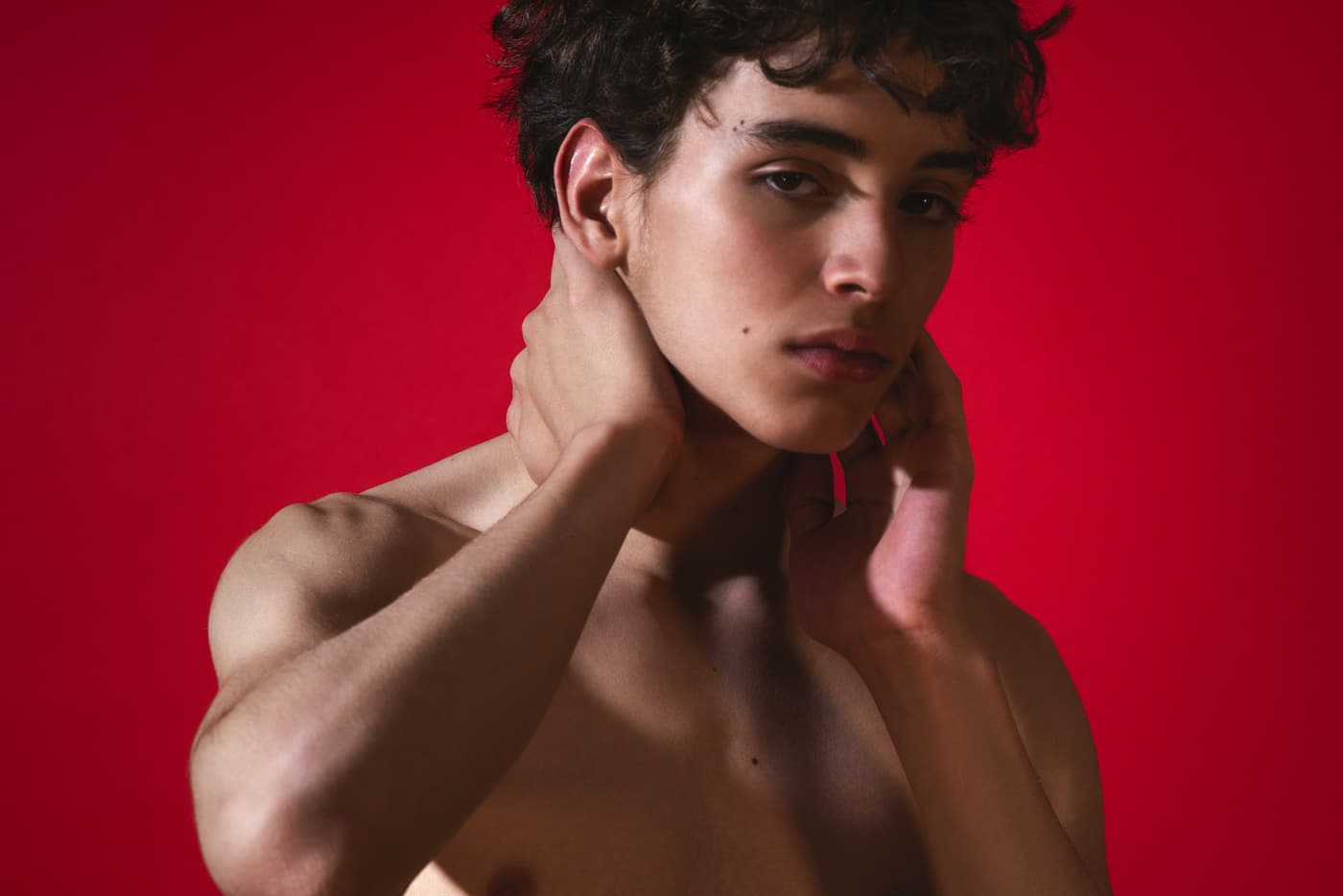 Luca M. companion photo 2