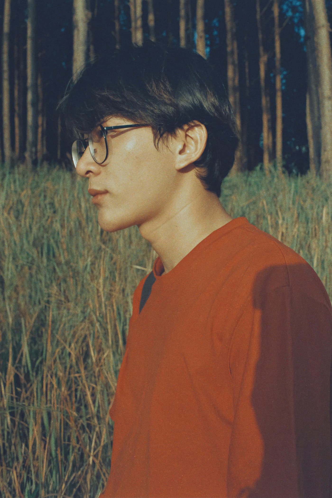 Sandro K. companion photo 2